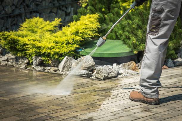 Best Dumpster Area Cleaning  in Hackberry, TX